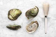 Oyster and Knife